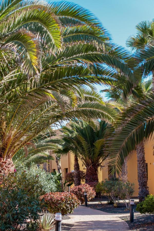קורלחו Fuerteventura Apartments Tamarindo 1 מראה חיצוני תמונה
